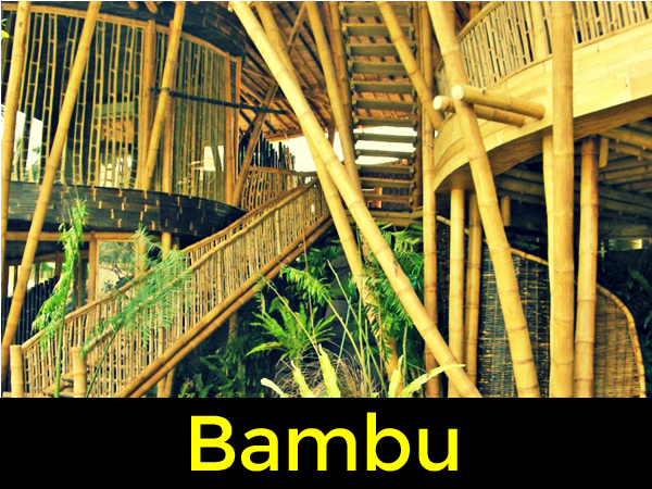 Curso de Bambu