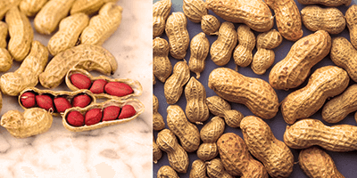 Hortaliças e leguminosas indígenas: Saiba tudo sobre o Amendoim
