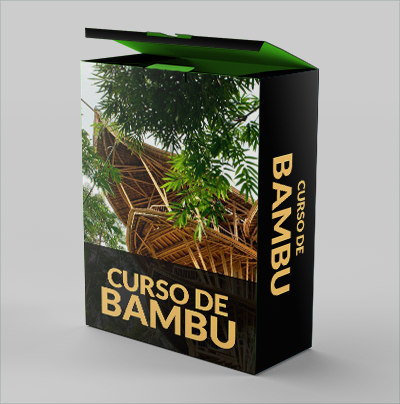 Curso de Bambu